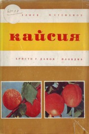 Кайсия