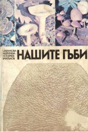Нашите гъби