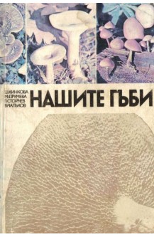 Нашите гъби