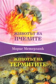 Животът на пчелите. Животът на термитите