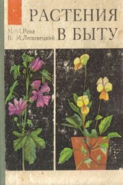 Растения в быту