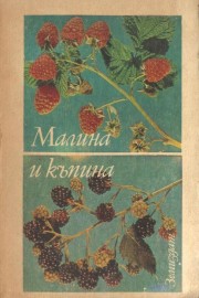 Малина и къпина