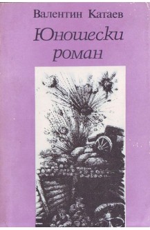 Юношески роман